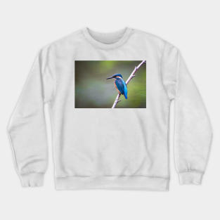 Sitting kingfisher bird on tree branch Crewneck Sweatshirt